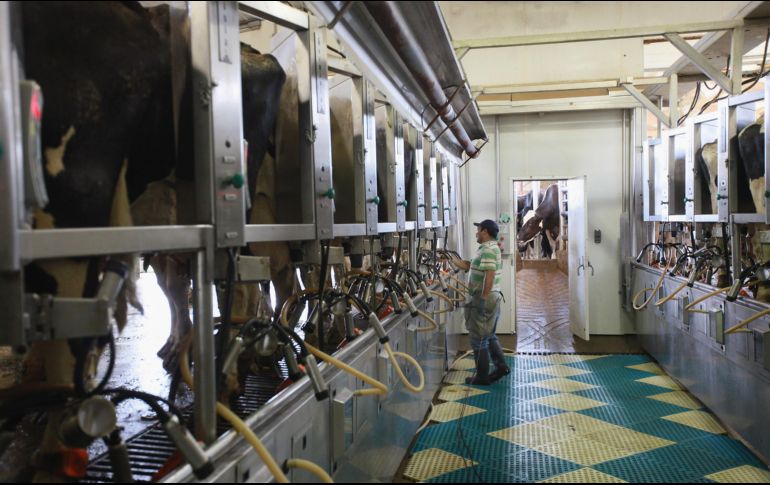 Las discusiones entre EU y Canadá se centran en particularidades que no afectan directamente a México, como el sector de lácteos. AFP/Archivo