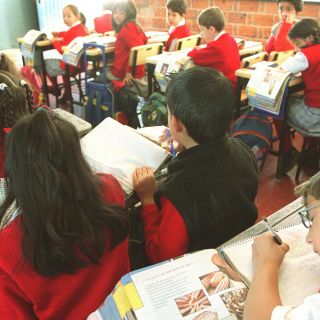 Factores genéticos son clave para el éxito académico: estudio