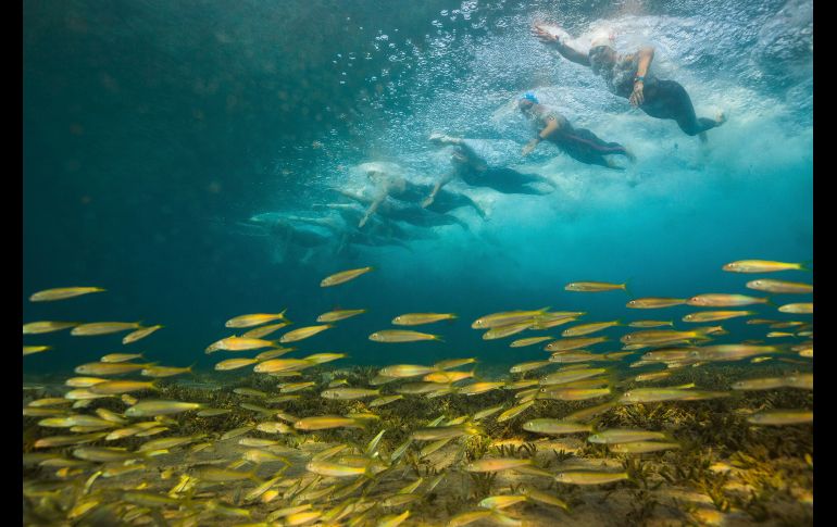 Competidores participan en el campeonato mundial junior de natación de aguas abiertas en Eilat, Israel. AP/G. Kavalerchik