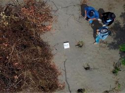 El gobernador Miguel Ángel Yunes Linares declaró que los cuerpos son de personas que tenían al menos de dos a tres años de haber desaparecido. AP/ ESPECIAL