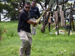 Hay quienes ven con duda que la Fiscalía de Veracruz no haya informado antes a los Colectivos de búsqueda sobre este hallazgo. AFP / V. Razo