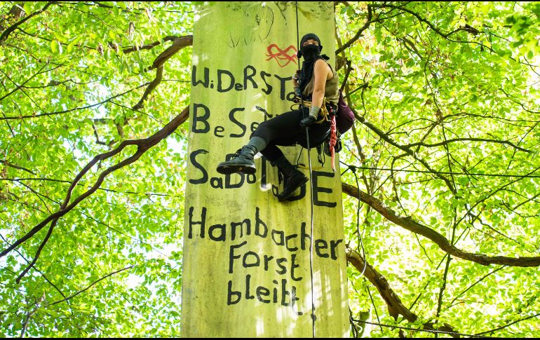 Un activista cuelga una manta que dice: 