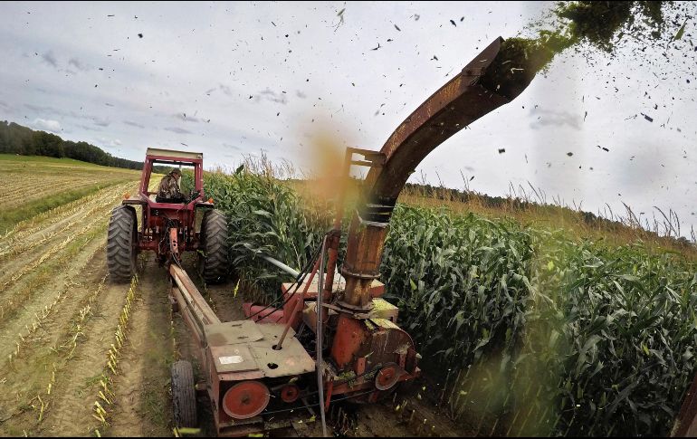 Trump exige que Canadá se abra más al mercado estadounidense, principalmente en productos agrícolas. AP/R. Bukaty