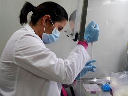 En México, se ha alcanzado 