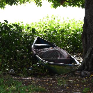 Encuentran credenciales de dos personas en megafosa de Veracruz