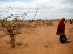 La variabilidad climática afecta a los patrones de lluvia y las temporadas agrícolas, y crea fenómenos meteorológicos extremos como sequías e inundaciones. AP/Archivo