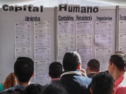 Las empresas mexicanas tienen problemas para encontrar talento que cubra sus vacantes, programas como el de empleo a jóvenes aprendices, impulsado por López Obrador, podrían paliar la escasez de talento actual. EL INFORMADOR/Archivo