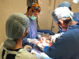 En total, sumando trasplantes de donante vivo relacionado y con muerte cerebral, hasta hoy se han hecho 182 trasplantes de riñón en el IMSS Jalisco. ESPECIAL