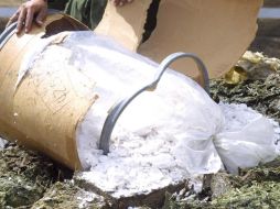 Botero aseguró que los narcocultivos generan inseguridad en el campo y en las ciudades. EL INFORMADOR / ARCHIVO