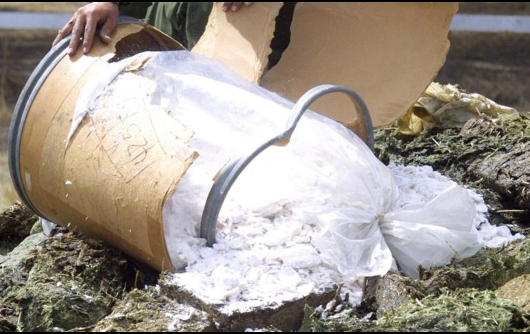 Botero aseguró que los narcocultivos generan inseguridad en el campo y en las ciudades. EL INFORMADOR / ARCHIVO