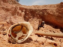 El rescate de los cuerpos empezó poco después del accidente, y se prolongó hasta la mañana de este viernes con el apoyo de peritos y agentes del ministerio público. EL INFORMADOR/ARCHIVO