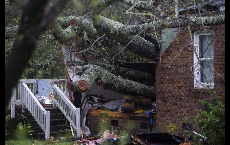 AFP / A. Caballero-Reynolds