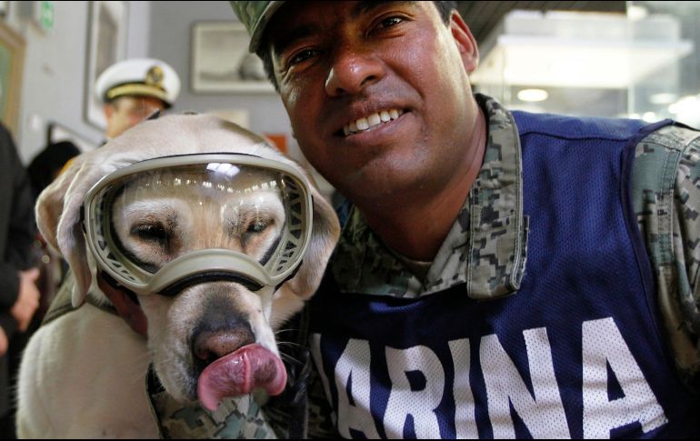 La Semar también argumentó que la solicitud hecha por los empresarios cerveceros 