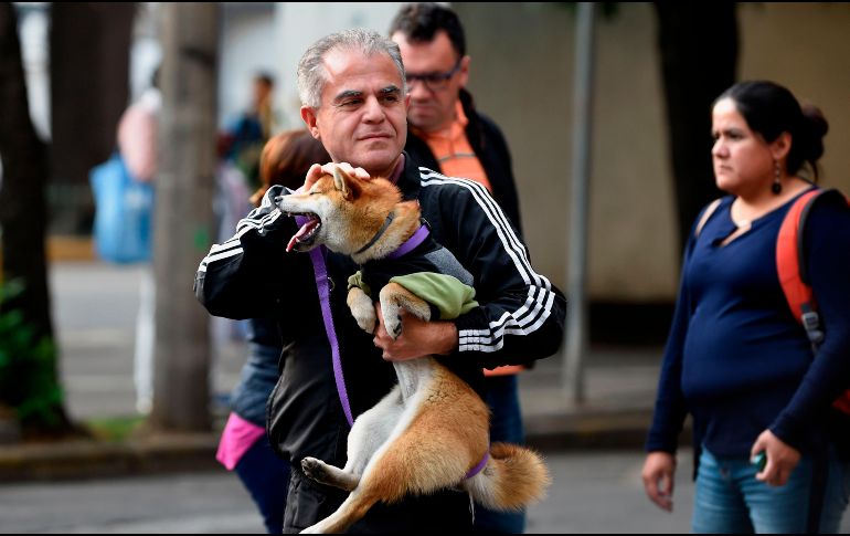 Este 19 de septiembre se conmemora también el Día Nacional de Protección Civil donde se realizan macrosimulacros para recordar cómo actuar en caso de emergencia. AFP / ARCHIVO