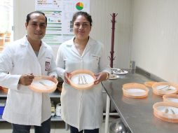 Los investigadores resaltan que otro propósito del proyecto es generar diferentes productos para diversificar el consumo del salvado de arroz. TWITTER / @IPN_MX