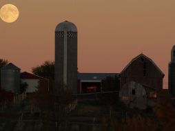 En la tercera estación anual, la duración del día y noche es similar, por lo cual es llamada como equinoccio de otoño. AFP / ARCHIVO