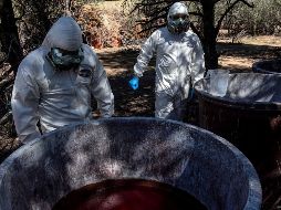 Elementos de la Policía de Michoacán realizaban trabajos operativos en el cerro de Angahuan-Corupo, cuando ubicaron un campamento. AFP/ARCHIVO