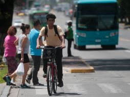 Actualmente, Guadalajara tiene 224.8 kilómetros de infraestructura ciclista. EL INFORMADOR/Archivo
