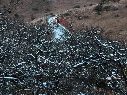 Se busca que en dos años, todas las áreas protegidas completen el Programa de Regulación Ambiental de Sitios Naturales. EFE / ARCHIVO