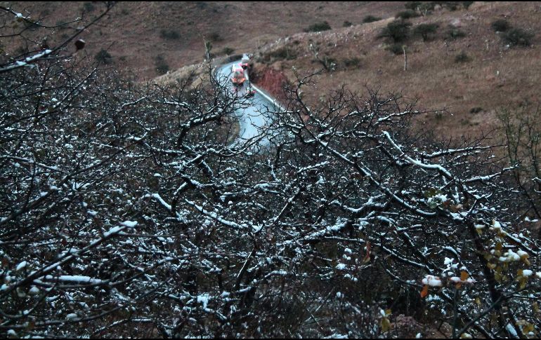 Se busca que en dos años, todas las áreas protegidas completen el Programa de Regulación Ambiental de Sitios Naturales. EFE / ARCHIVO