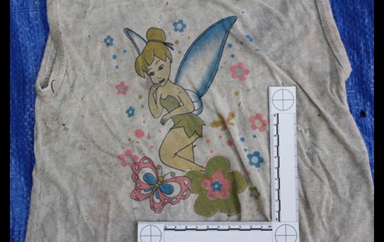 Un estampado con la imagen de 