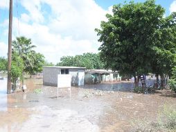 Se tiene cuantificado hasta el momento una afectación con pérdida total en 14 mil 837 hectáreas y siniestrada parcial en mil 920 hectáreas. NTX / ARCHIVO