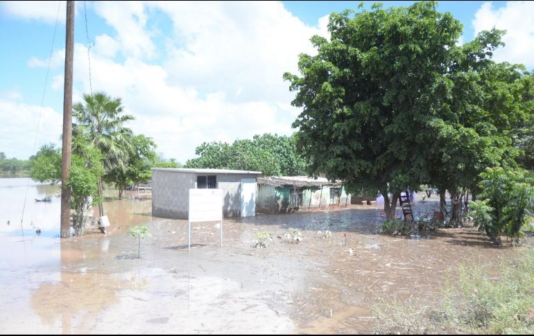 Se tiene cuantificado hasta el momento una afectación con pérdida total en 14 mil 837 hectáreas y siniestrada parcial en mil 920 hectáreas. NTX / ARCHIVO