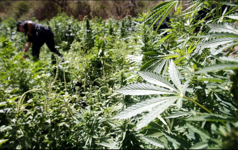 De acuerdo con las carpetas de investigación, el hallazgo se dio tras realizar recorridos de vigilancia, con motivo del operativo Escudo Titán. NTX / ARCHIVO