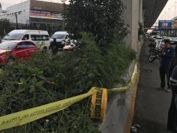 Hasta ahora, no se conoce el origen de las plantas. TWITTER / @oscarcovalin