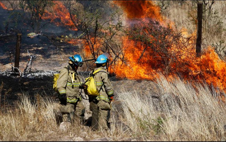 Las llamas se produjeron en el fundo San Juan, del distrito de San Ramón. SUN/ARCHIVO