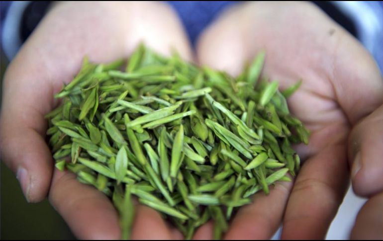 El té verde y negro, la cúrcuma y la granada inhiben la proliferación de las células del cáncer de mama y próstata. AP / ARCHIVO