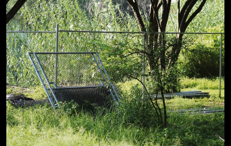 Dejan incompletos los trabajos para  rehabilitar el Parque Ávila Camacho
