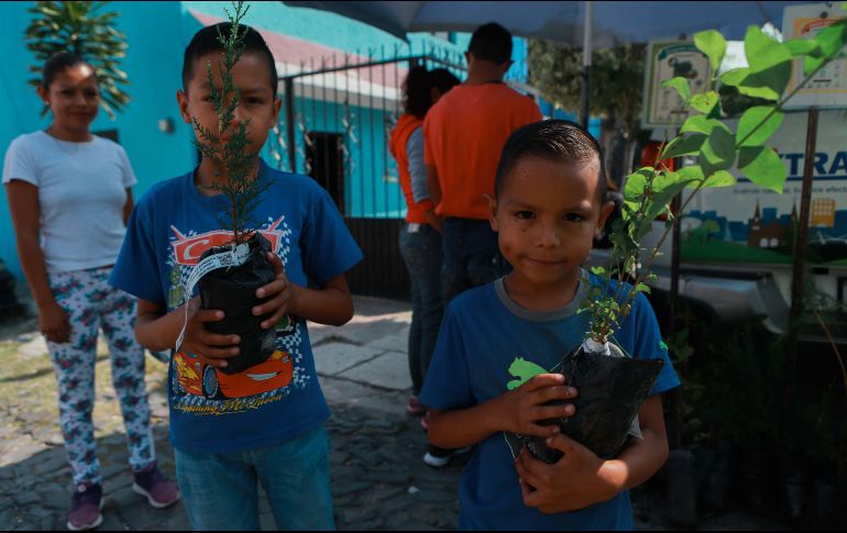 Cada árbol lleva una etiqueta con código QR que informa sobre la especie a la que pertenece y datos para su seguimiento puntual. EL INFORMADOR / G. Gallo