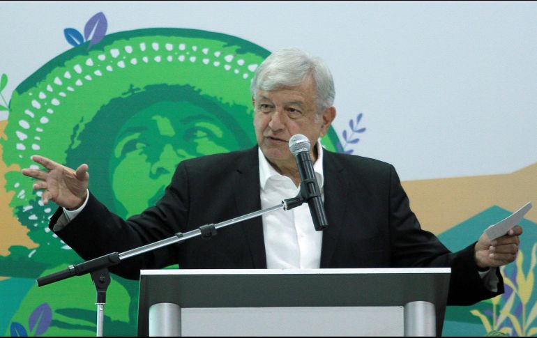 La meta para los próximos años es sembrar un millón de árboles frutales y maderables en 19 estados del país, con lo que al final se dará 400 mil empleos fijos a los campesinos. NTX / A. Monroy