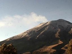 La Cenapdred advierte sobre las emisiones de vapor y gases que se presentan en el Popocatepetl. TWITTER / @PC_Estatal