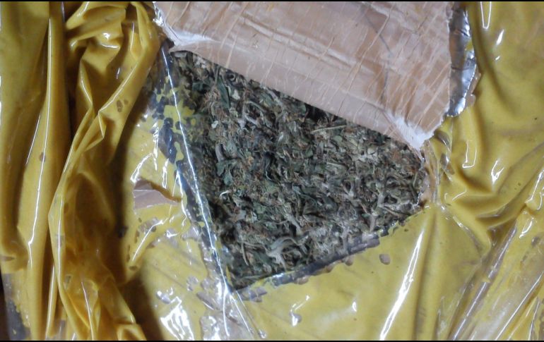 Los efectivos localizan y aseguran, con apoyo de un sensor canino, dos paquetes con dos kilogramos 72 gramos de mariguana, así como un cigarrillo de la misma, 12 recipientes de vidrio conteniendo hachís y un vaporizador. EL INFORMADOR / ARCHIVO