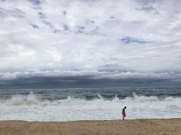 Mantienen zona de vigilancia en la costa occidental de BCS, desde Punta Eugenia hasta Cabo San Lázaro, y en la costa oriental, desde Bahía San Juan Bautista hasta Mulegé. AP / ARCHIVO