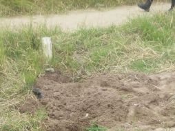 Uno de ellos fue localizado en lo que parecía ser una fosa clandestina. ESPECIAL / Policía de Tlajomulco