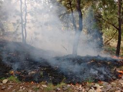 Sólo se consumió una hectárea de maleza y hojarasca. ESPECIAL / Bomberos de Zapopan
