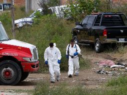 Peritos forenses llegaron ayer al predio en Tonalá. EFE/F. Guasco