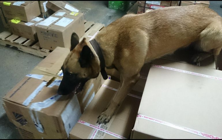 Localizaron y aseguraron una llanta de vehículo que en su interior contenía cinco envoltorios con un peso aproximado de cinco kilos de metanfetamina. EL INFORMADOR/ ARCHIVO