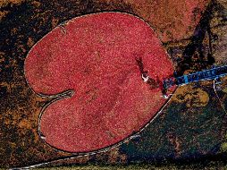 El mundo en imágenes del 19 de octubre de 2018