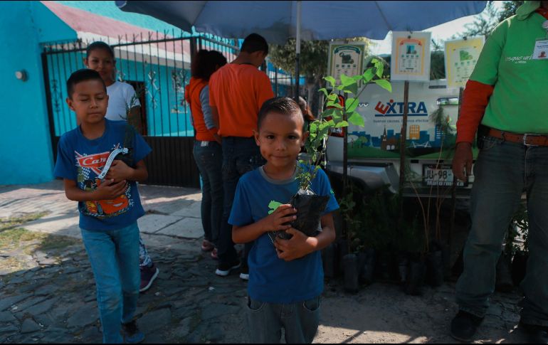 El enfoque de adoptar árboles incentiva el cariño y cuidado a la planta. EL INFORMADOR/Archivo
