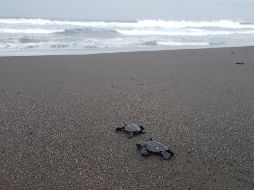En armonía con la naturaleza