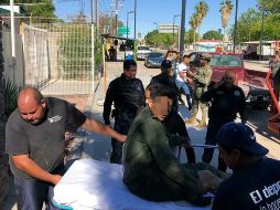 La aeronave accidentada transportaba a 12 elementos de esta dependencia federal, de los cuales nueve están fuera de peligro. TWITTER/@Rpc653