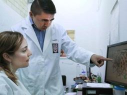 Al no existir una cura para esta enfermedad, las investigaciones del IPN buscan ofrecer alternativas basadas en terapias dirigidas. ESPECIAL / ipn.mx