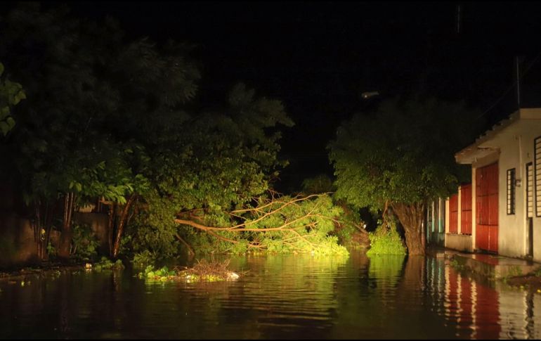 Estragos del huracán 