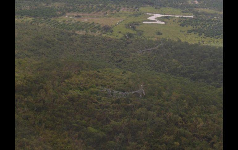 Jaime Hernández, director general de la CFE, compartió ayer imágenes de sobrevuelos sobre Nayarit y Sinaloa. TWITTER@JaimeFHM