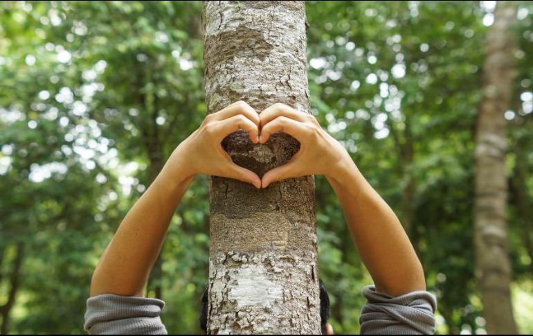 Entre consumidores, un 60 por ciento prefiere productos con impacto positivo en el entorno social y ambiental. ESPECIAL