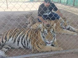 El padre de la afectada refirió que nunca habían tenido un incidente, y sólo esperan que la niña se recupere. TWITTER/@ProyectoPuente